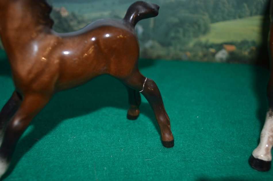 A beautiful set of Beswik chestnut horses with foals