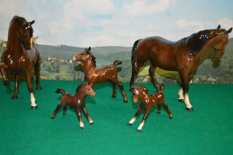 A beautiful set of Beswik chestnut horses with foals