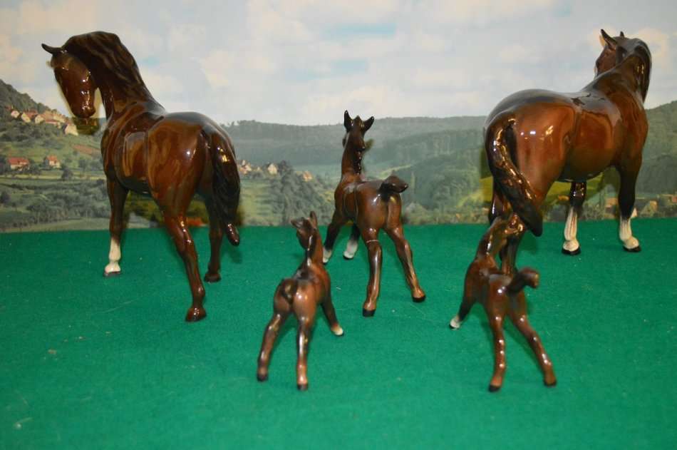 A beautiful set of Beswik chestnut horses with foals