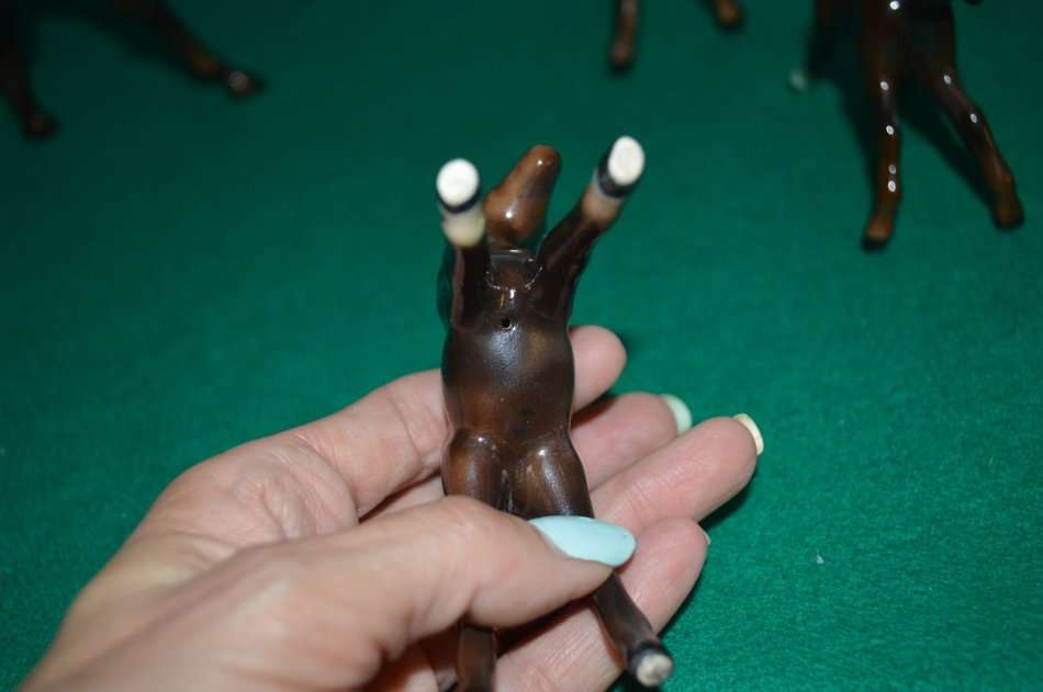 A beautiful set of Beswik chestnut horses with foals