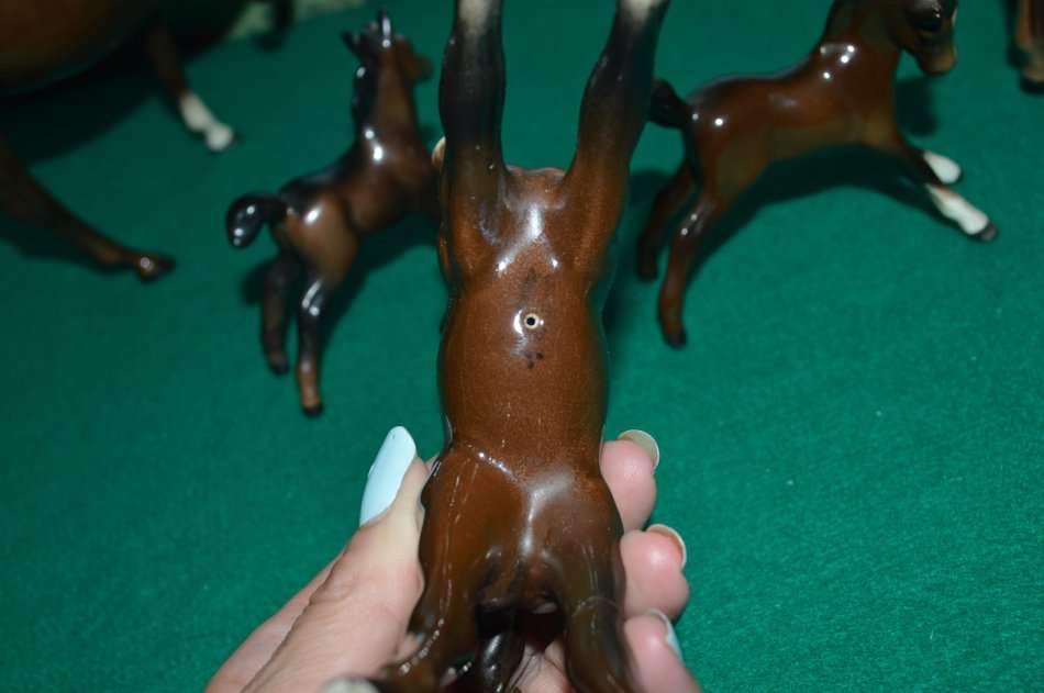 A beautiful set of Beswik chestnut horses with foals