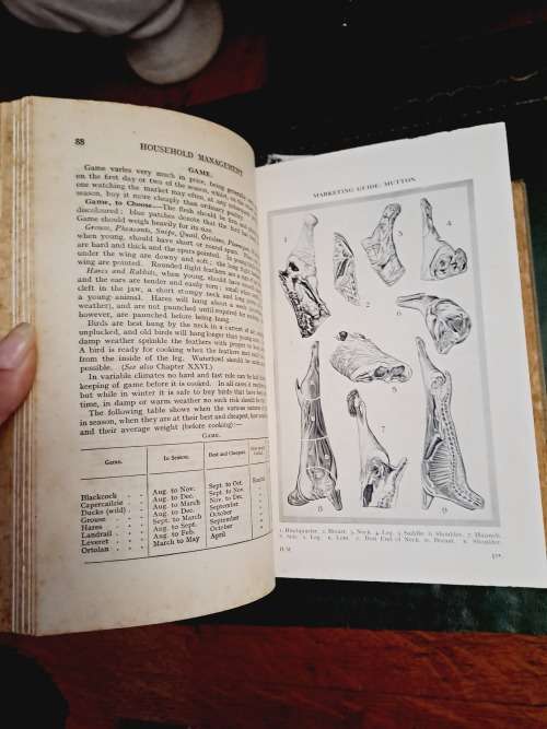 Mrs Beetons household management ca 1949