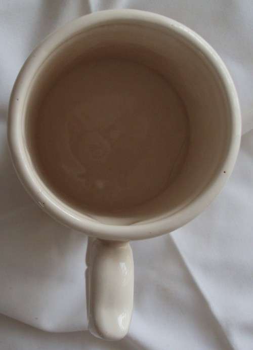 Crescent Ware Sunday Express Times Rand Daily Mail Newspaper Beer Mug Tankard