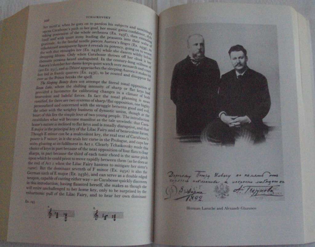 Tchaikovsky The Year of fame 1878-1893 David Brown