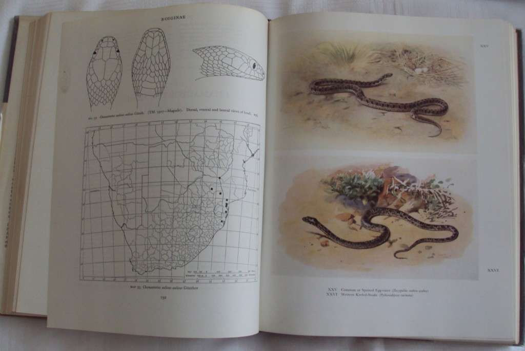 Snakes of southern Africa Vivian F Fitzsimons