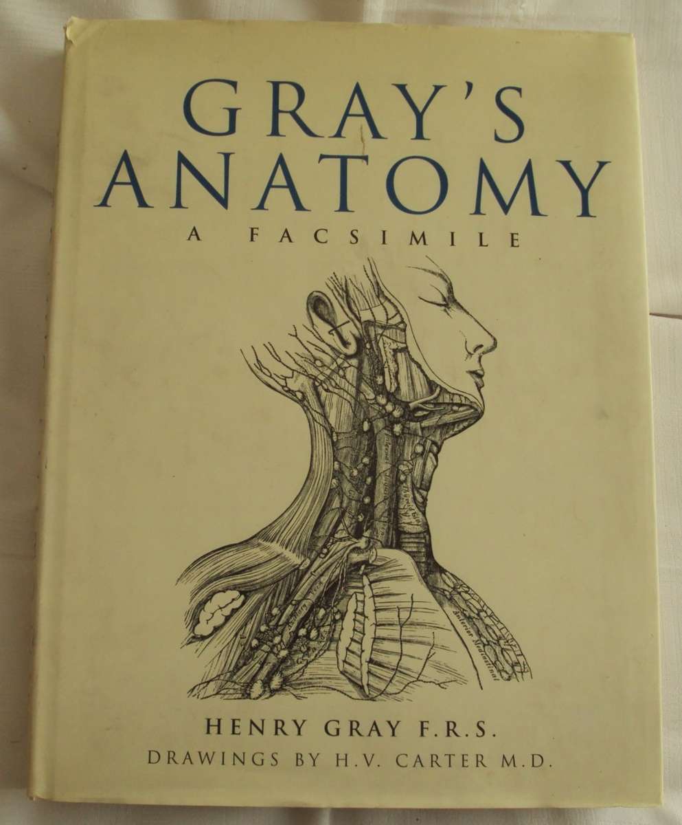 Gray`s Anatomy A Facsimile Henry Gray F.R.S. Drawings By H.V. Carter M.D.