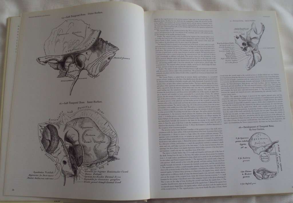Gray`s Anatomy A Facsimile Henry Gray F.R.S. Drawings By H.V. Carter M.D.