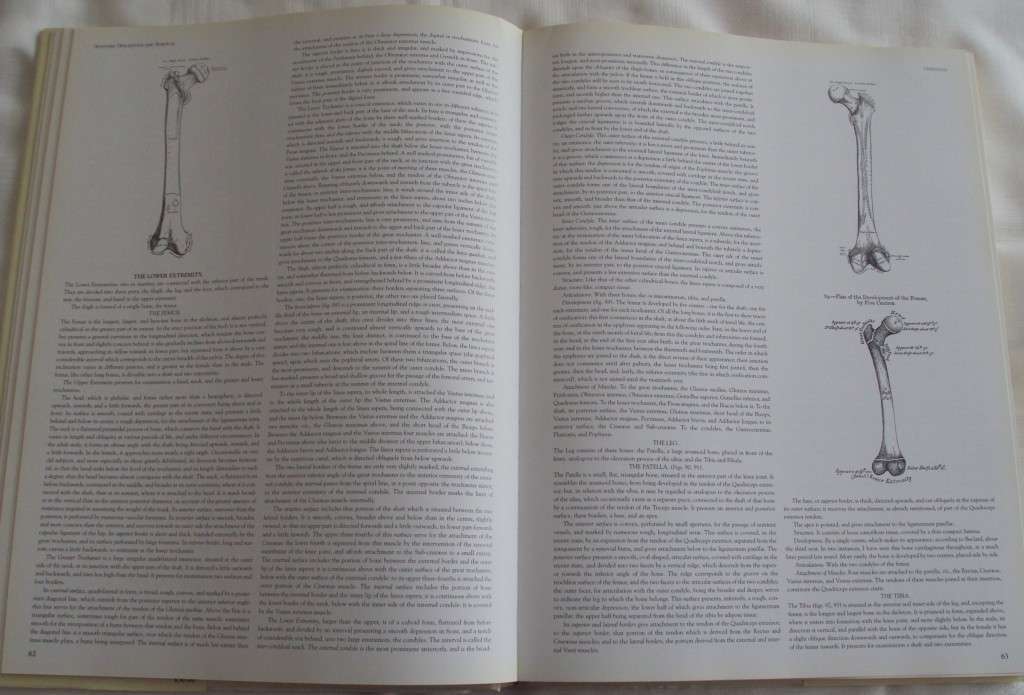 Gray`s Anatomy A Facsimile Henry Gray F.R.S. Drawings By H.V. Carter M.D.