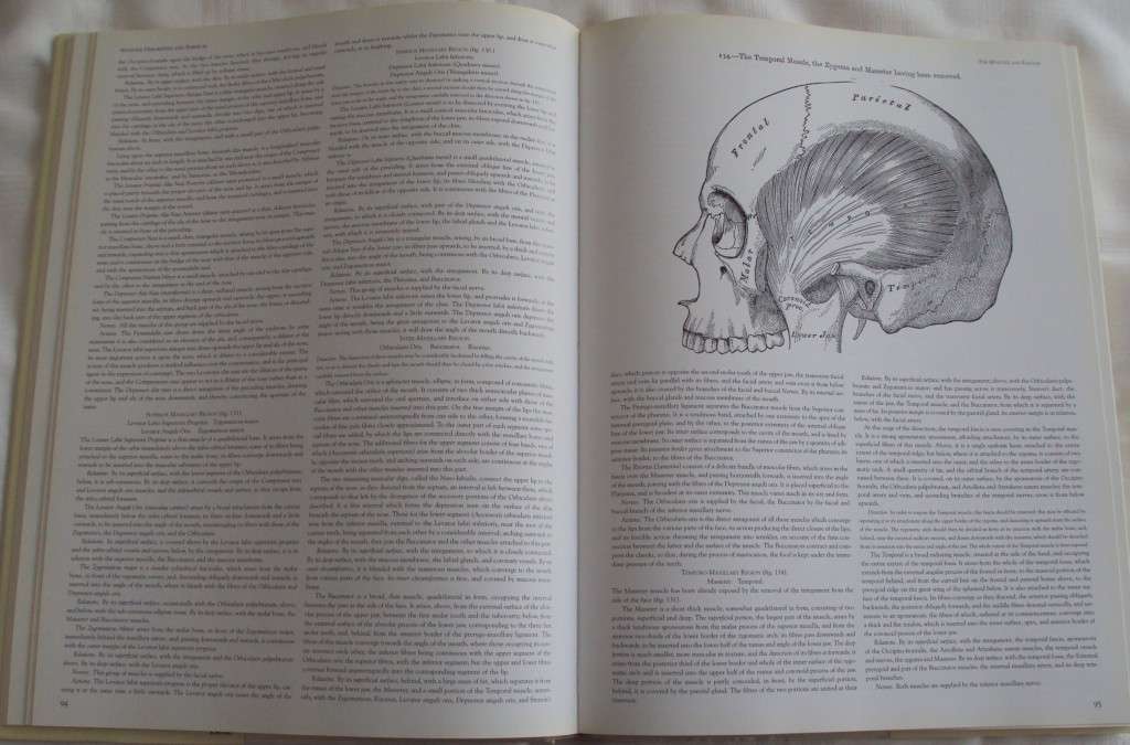Gray`s Anatomy A Facsimile Henry Gray F.R.S. Drawings By H.V. Carter M.D.