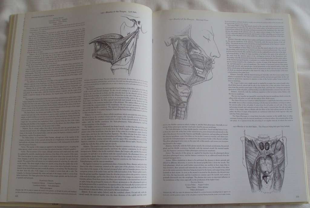 Gray`s Anatomy A Facsimile Henry Gray F.R.S. Drawings By H.V. Carter M.D.