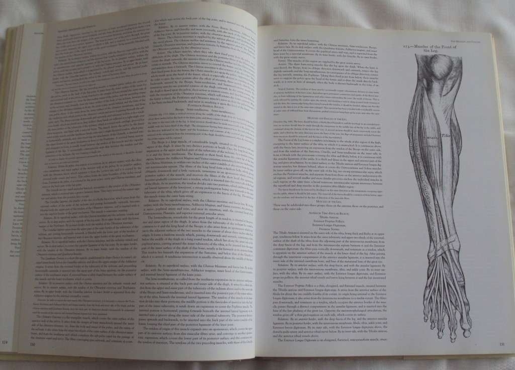 Gray`s Anatomy A Facsimile Henry Gray F.R.S. Drawings By H.V. Carter M.D.