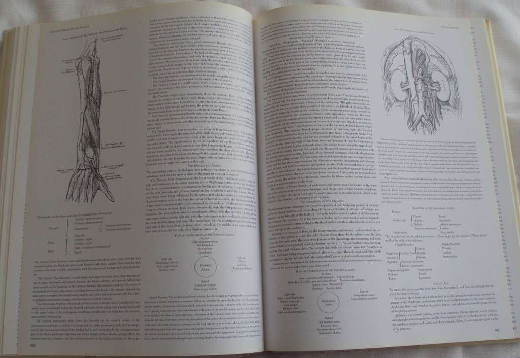 Gray`s Anatomy A Facsimile Henry Gray F.R.S. Drawings By H.V. Carter M.D.