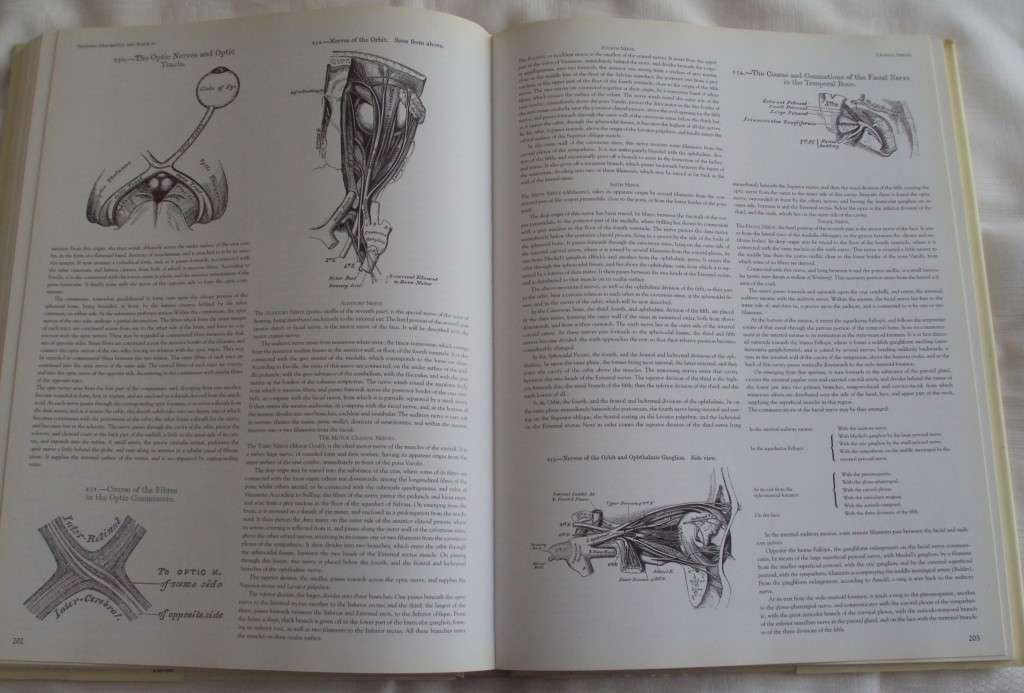 Gray`s Anatomy A Facsimile Henry Gray F.R.S. Drawings By H.V. Carter M.D.