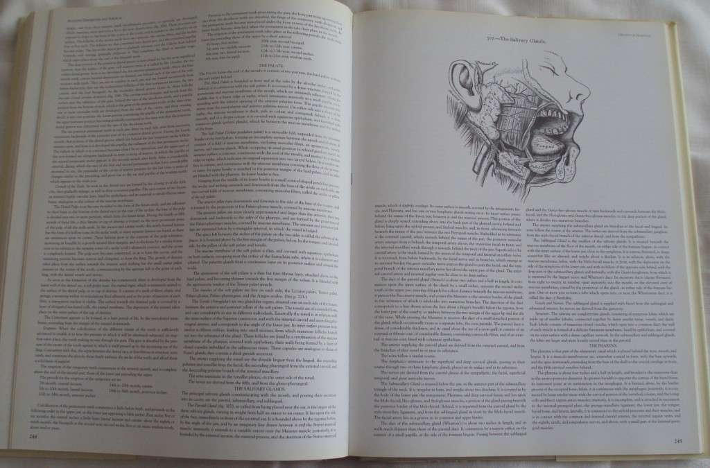 Gray`s Anatomy A Facsimile Henry Gray F.R.S. Drawings By H.V. Carter M.D.