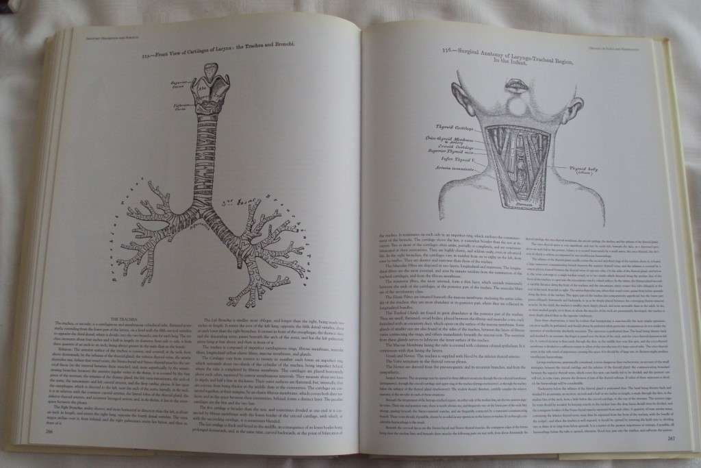 Gray`s Anatomy A Facsimile Henry Gray F.R.S. Drawings By H.V. Carter M.D.