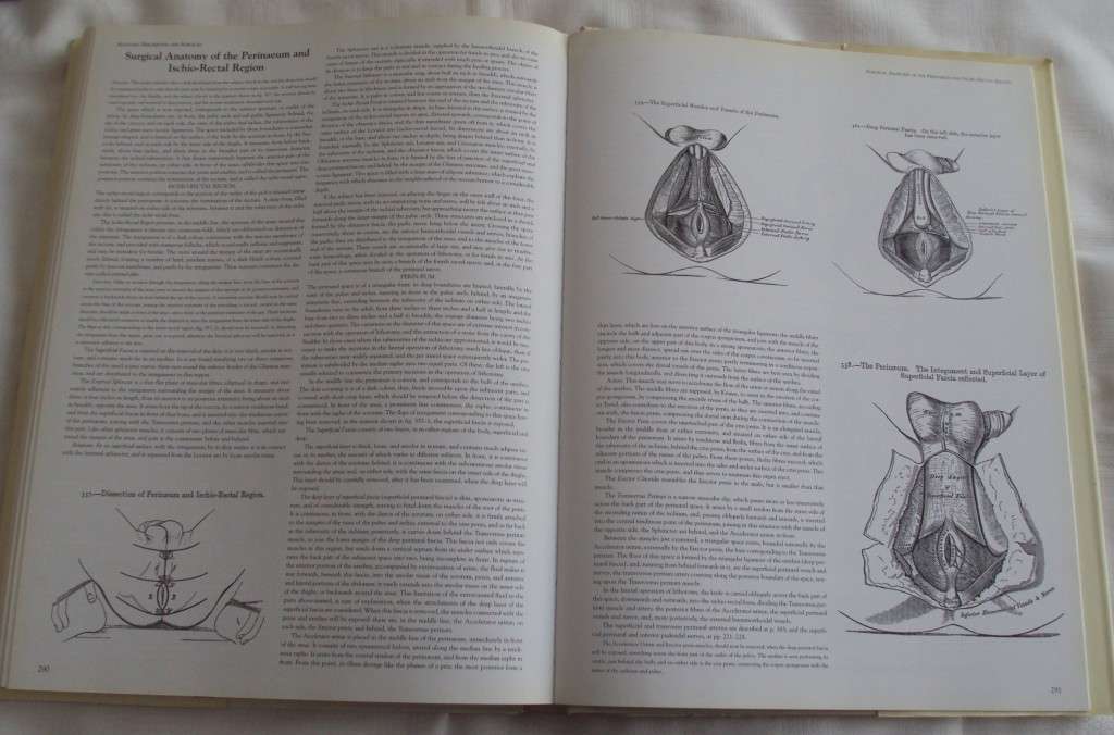 Gray`s Anatomy A Facsimile Henry Gray F.R.S. Drawings By H.V. Carter M.D.