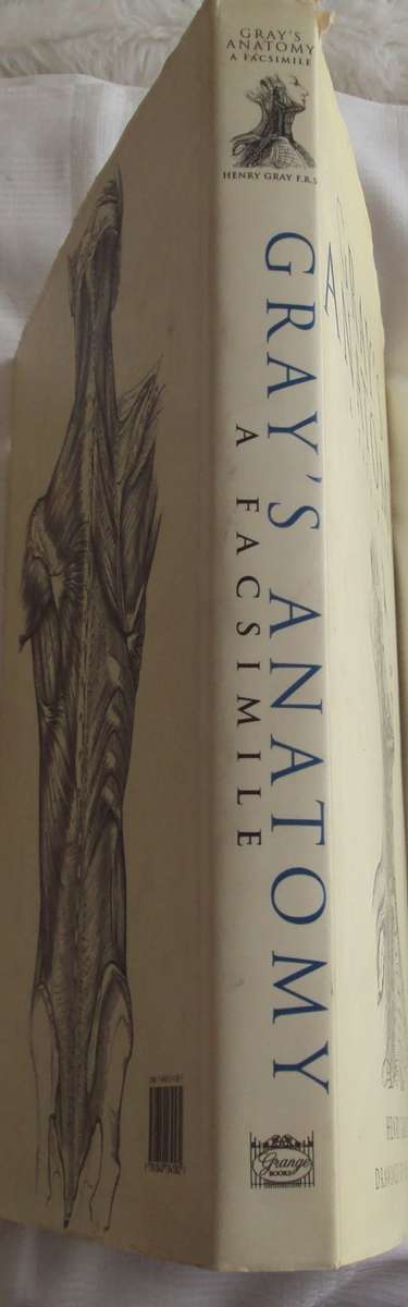 Gray`s Anatomy A Facsimile Henry Gray F.R.S. Drawings By H.V. Carter M.D.