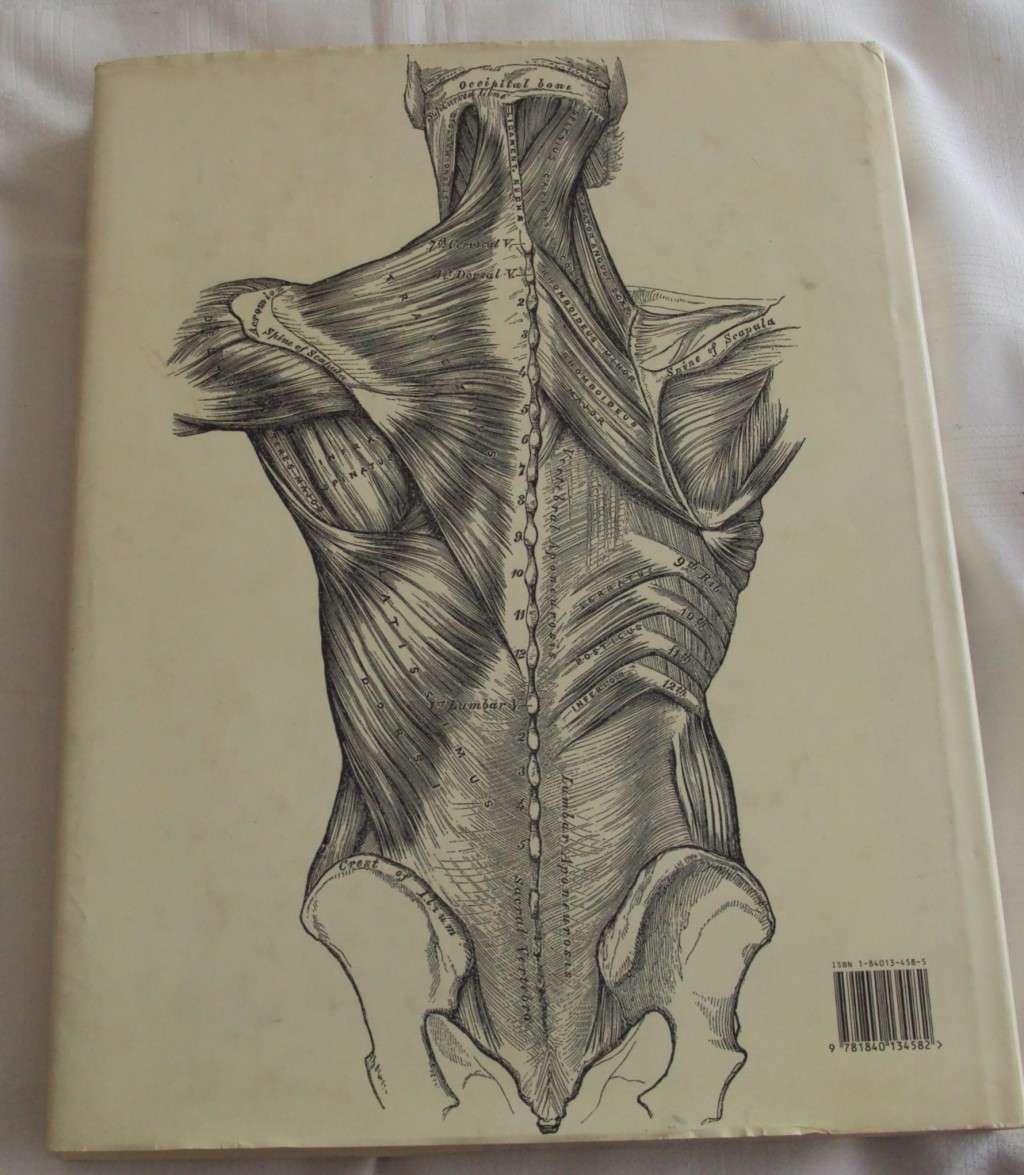 Gray`s Anatomy A Facsimile Henry Gray F.R.S. Drawings By H.V. Carter M.D.