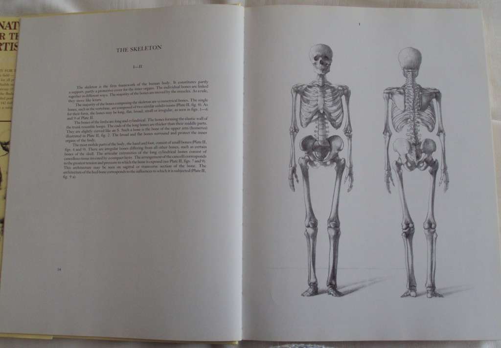Anatomy For The Artist  142 full pages plates Jeno Barcsay