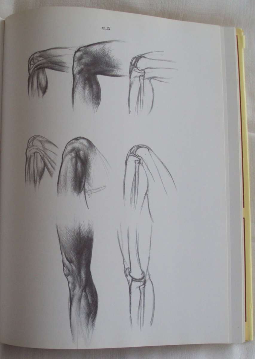 Anatomy For The Artist  142 full pages plates Jeno Barcsay