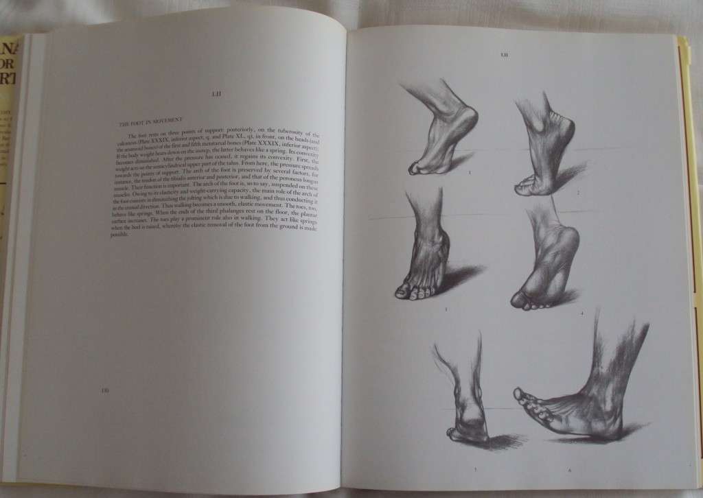 Anatomy For The Artist  142 full pages plates Jeno Barcsay