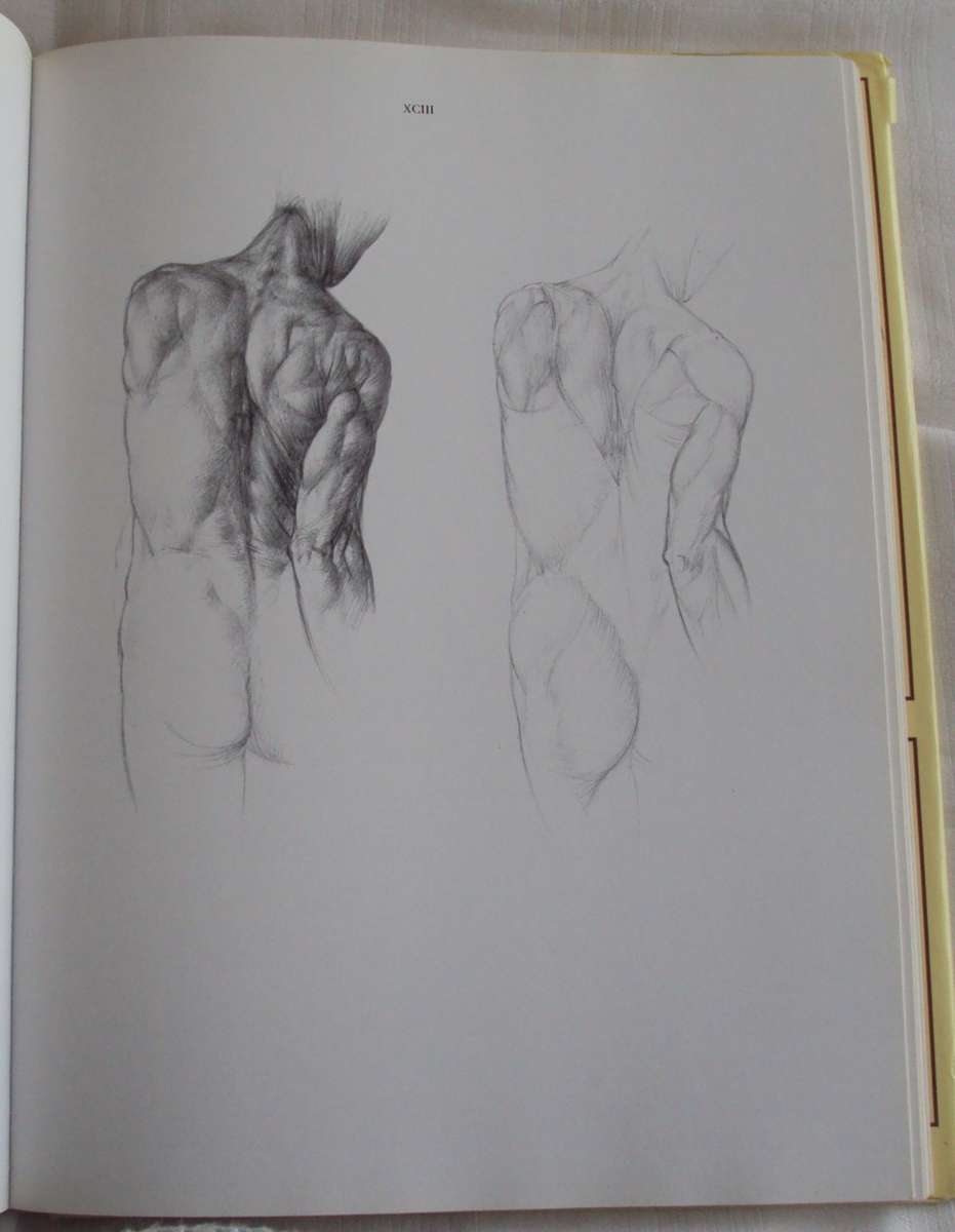 Anatomy For The Artist  142 full pages plates Jeno Barcsay