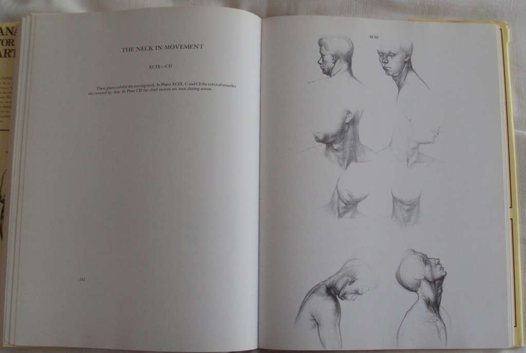 Anatomy For The Artist  142 full pages plates Jeno Barcsay