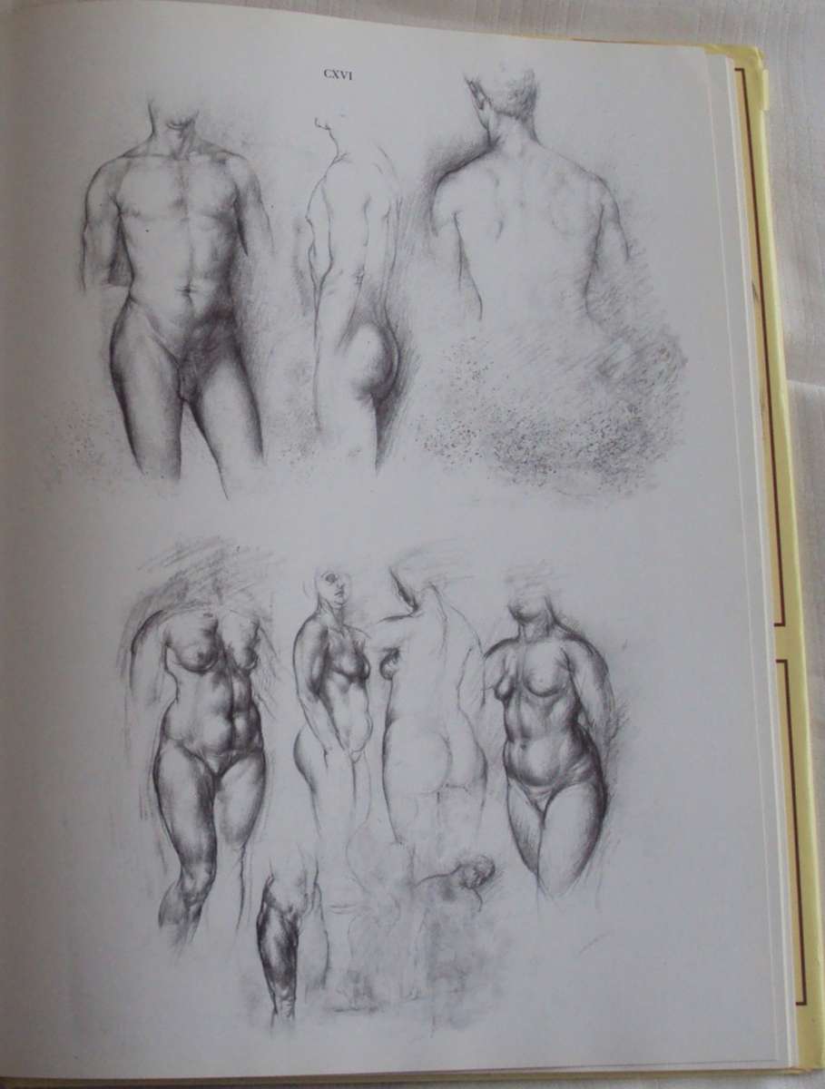 Anatomy For The Artist  142 full pages plates Jeno Barcsay