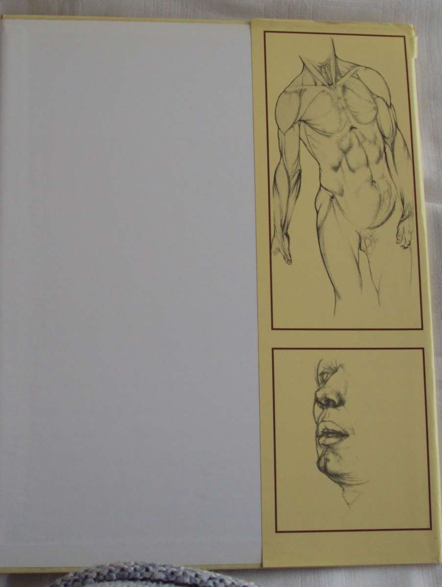 Anatomy For The Artist  142 full pages plates Jeno Barcsay
