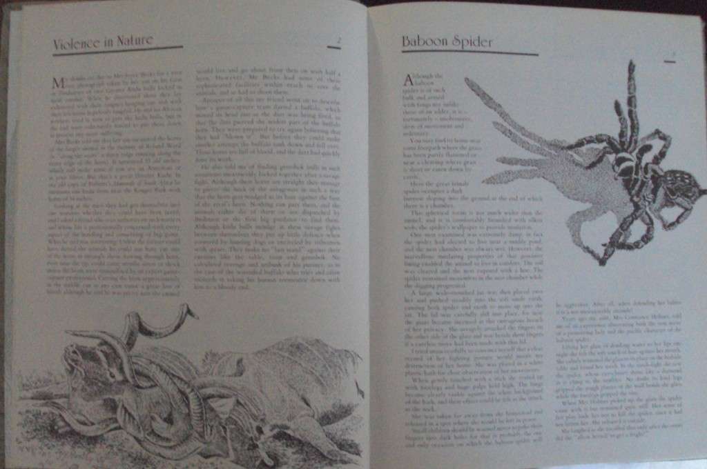 Jeff Huntlys African Wildlife Sketches  Deluxe Signed Leather Bound Limited Edition #M of A-Z