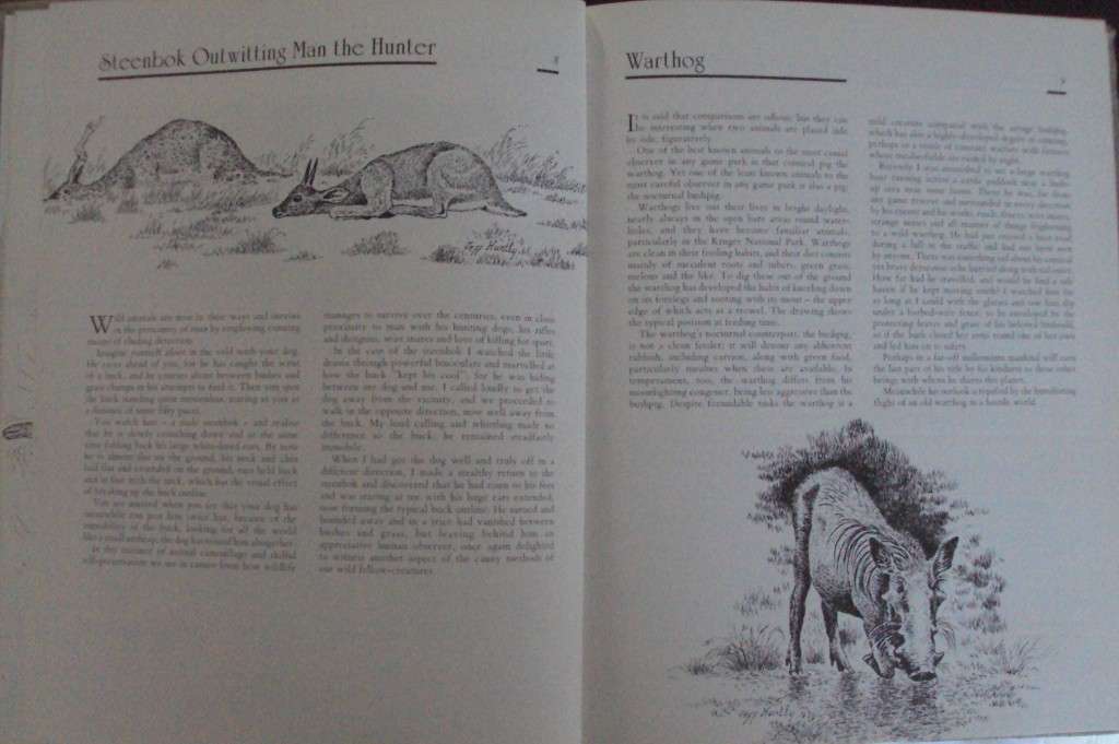 Jeff Huntlys African Wildlife Sketches  Deluxe Signed Leather Bound Limited Edition #M of A-Z