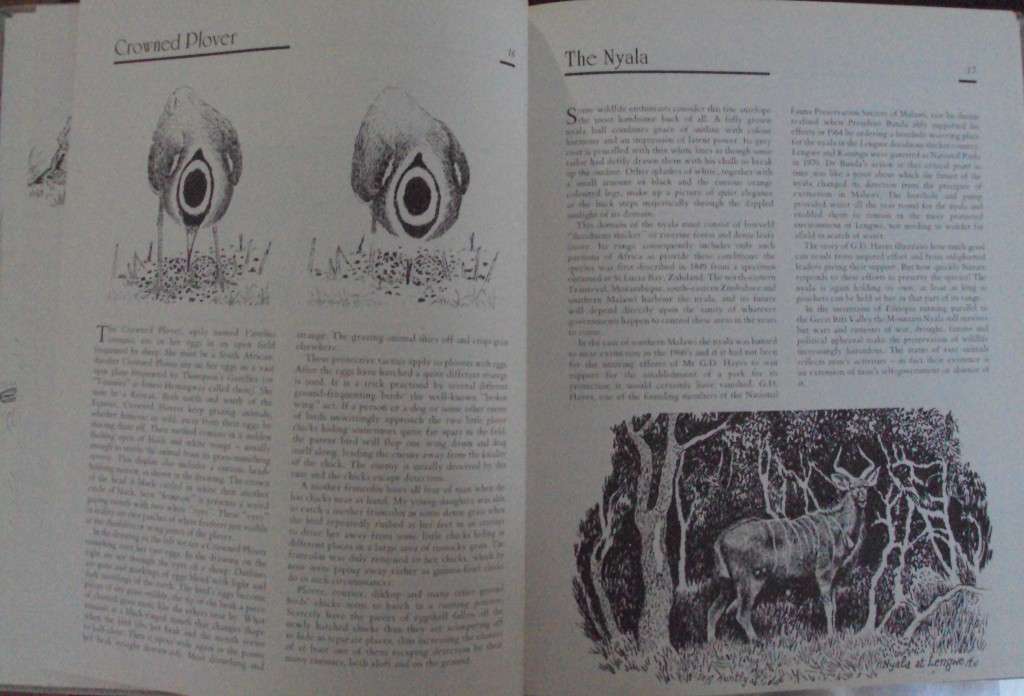 Jeff Huntlys African Wildlife Sketches  Deluxe Signed Leather Bound Limited Edition #M of A-Z