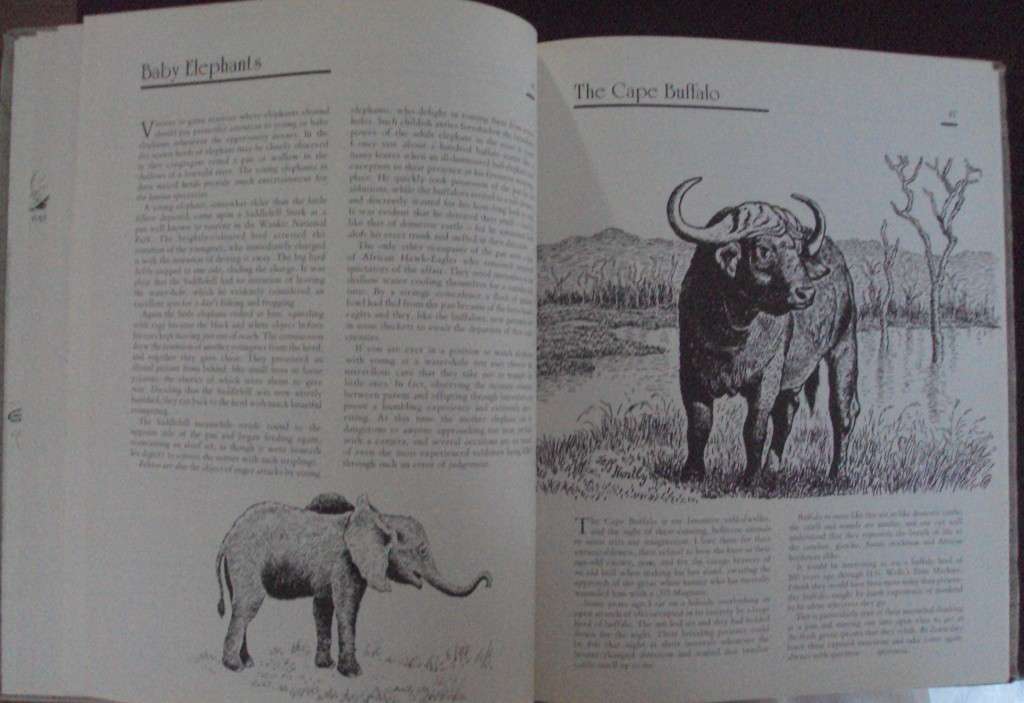 Jeff Huntlys African Wildlife Sketches  Deluxe Signed Leather Bound Limited Edition #M of A-Z