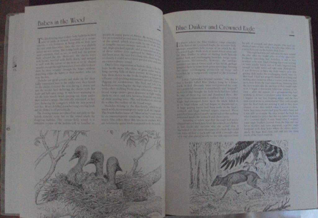 Jeff Huntlys African Wildlife Sketches  Deluxe Signed Leather Bound Limited Edition #M of A-Z