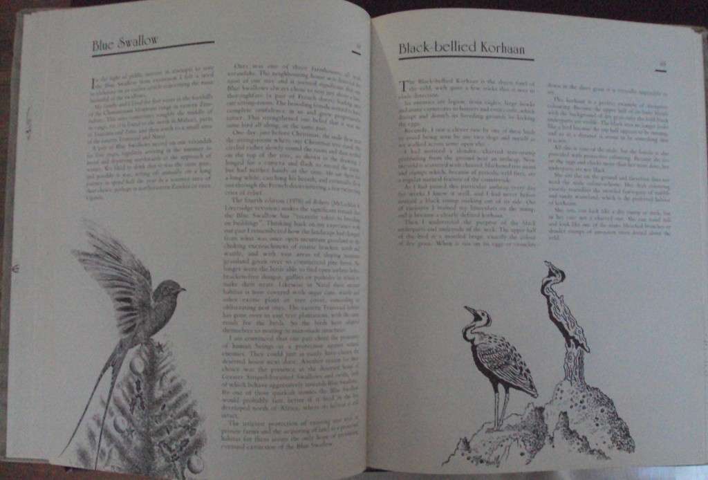 Jeff Huntlys African Wildlife Sketches  Deluxe Signed Leather Bound Limited Edition #M of A-Z