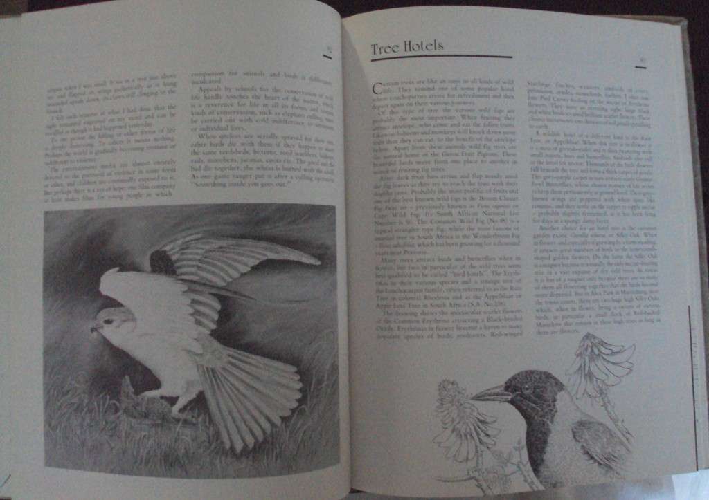 Jeff Huntlys African Wildlife Sketches  Deluxe Signed Leather Bound Limited Edition #M of A-Z