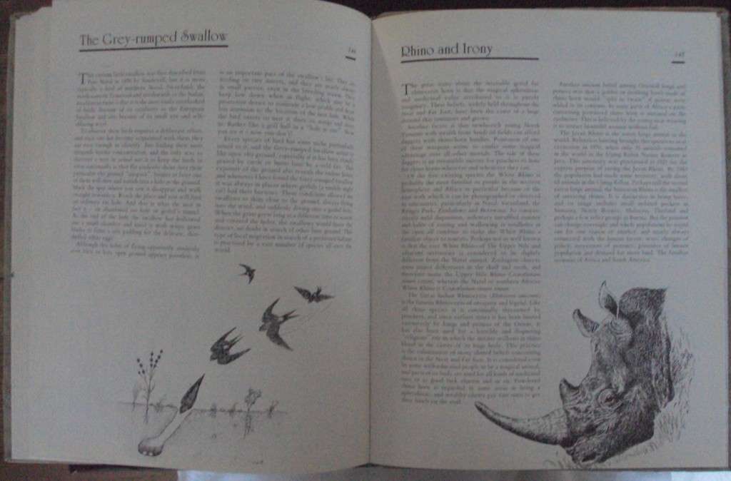 Jeff Huntlys African Wildlife Sketches  Deluxe Signed Leather Bound Limited Edition #M of A-Z