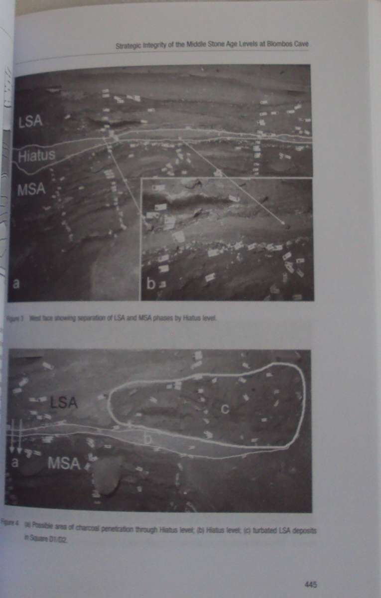 From Tools to Symbols From Early Hominids to Modern Humans