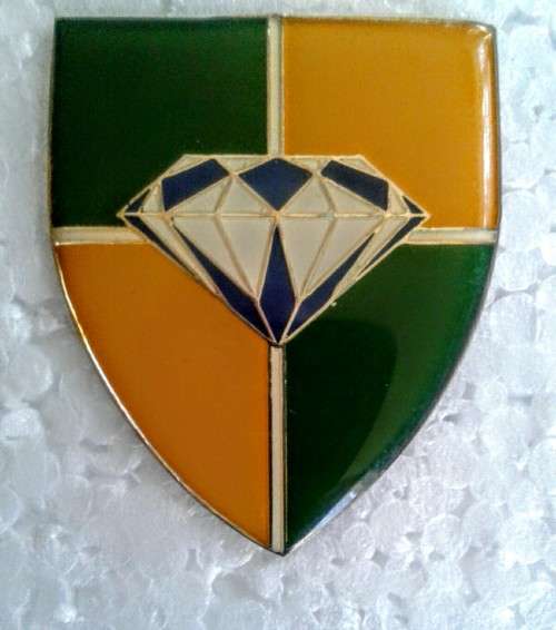 SA Army - Group 22 HQ   Shoulder Flash - ( all pins intact)