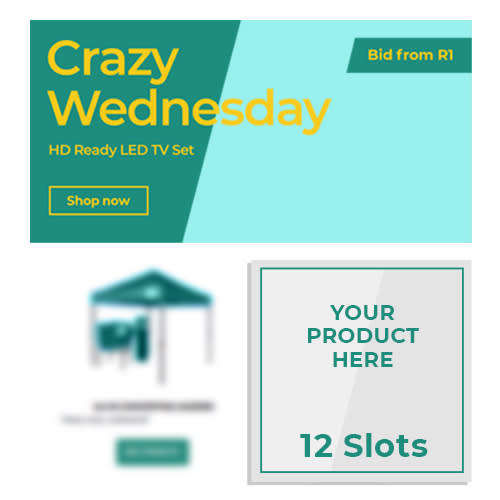 Newsletter Ads: bidorbuy Is Auctioning 12 Advertising Slots In Crazy Wednesday Newsletter