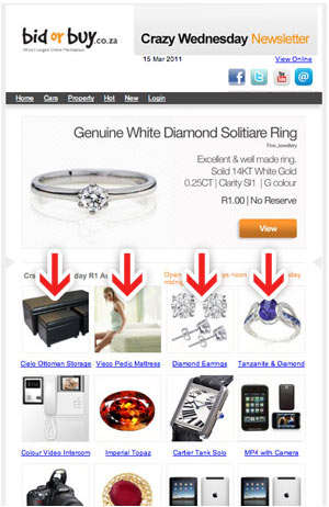 bidorbuy Is Auctioning 12 Advertising Slots In Our Crazy Wednesday Newsletter.