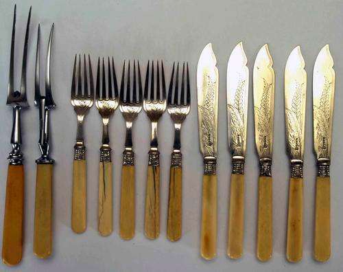 Bone Handled fish Set