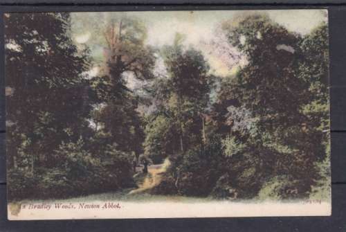GB ++ POST CARD ++ 1905 ++ "IN BRADLEY WOODS, NEWTON ABBOT" ++ FU ++ SEE SCANS BELOW