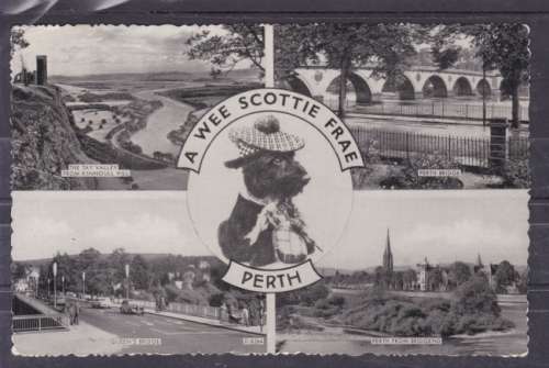 SCOTLAND ++ POST CARD ++ "A WEE SCOTTIE FRAE - PERTH" ++ FU ++ SEE SCANS BELOW
