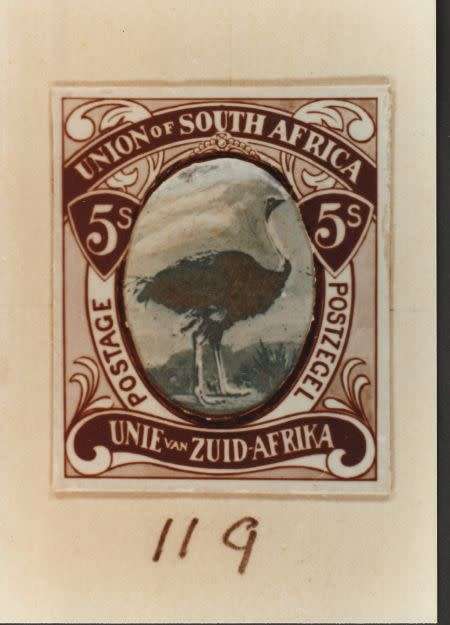 U of SA, PHOTO ESSAY 1974, NO:119, 5/s BROWN/BLACK