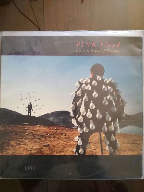 Pink Floyd - Delicate Sound of Thunder Live 2LP