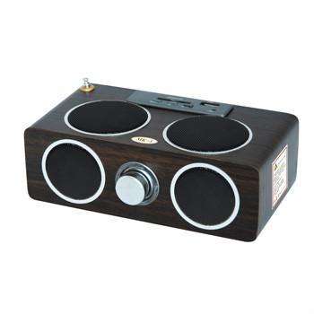 MK-5 Multi-function Mobile Speaker System. MP3 player with built in FM Radio