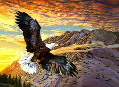 DIY Diamond Painting- Soaring the peaks