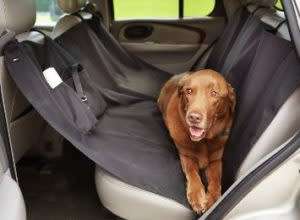 PET SEAT COVER CAR