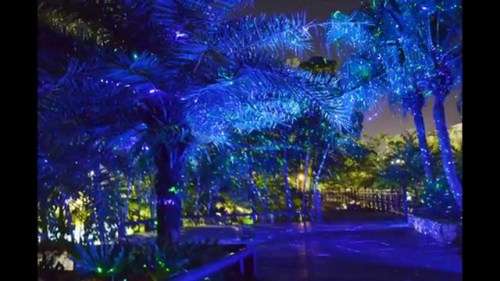 Outdoor laser Light